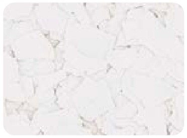 White decorative flake color sample
